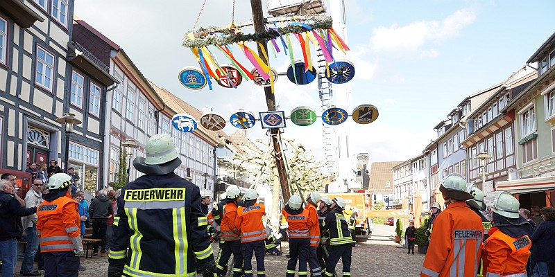 Traditionelles Maibaumaufstellen auf dem Stadtoldendorfer Marktplatz