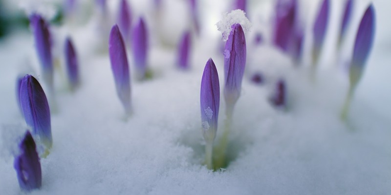 Nach der Eiseskälte wird es nun bald milder