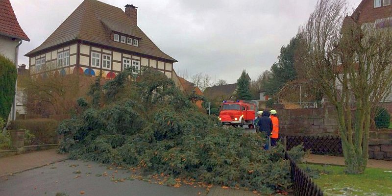 Unwettereinsätze in Stadtoldendorf und Umgebung