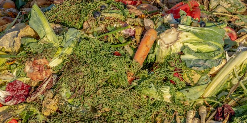 Frisch auf den Müll – Taste the waste: Kinofilm zur Verschwendung von Lebensmitteln