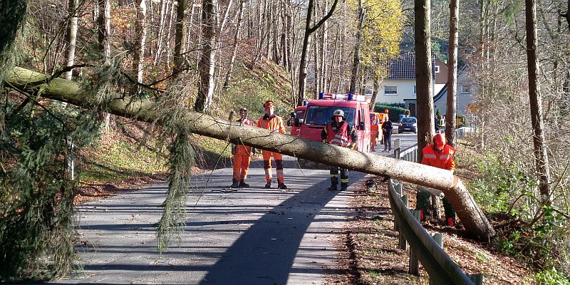 Sturmböen drücken Baum auf Kreisstraße