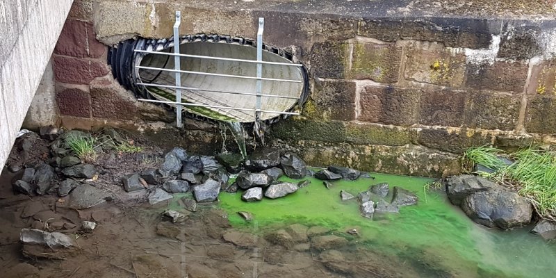 Grüne Farbe auf dem Eberbach: Feuerwehr Stadtoldendorf im Einsatz