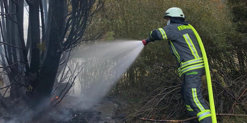 Feuerwehren rücken aus, um einen brennenden Baum zu löschen
