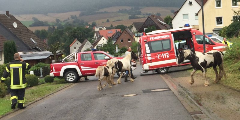 Spektakuläre Verfolgungsjagd von Polizei und Feuerwehr der etwas anderen Art 