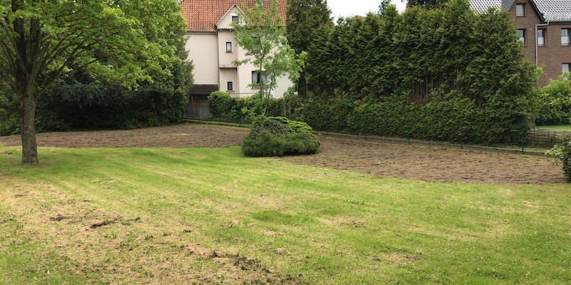 Blühwiesen in der Samtgemeinde Bodenwerder-Polle zum Erhalt und Förderung der Artenvielfalt