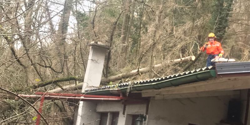 Baum abgerissen und auf Dach gefallen