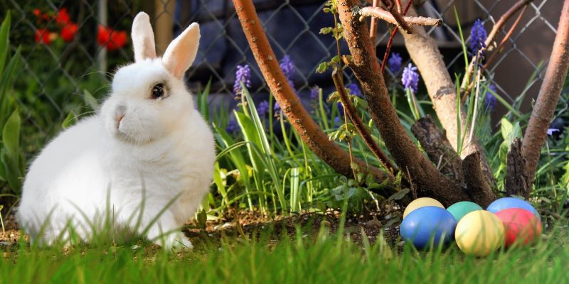 Ein frohes Osterfest 2021 wünscht die Onlinezeitung