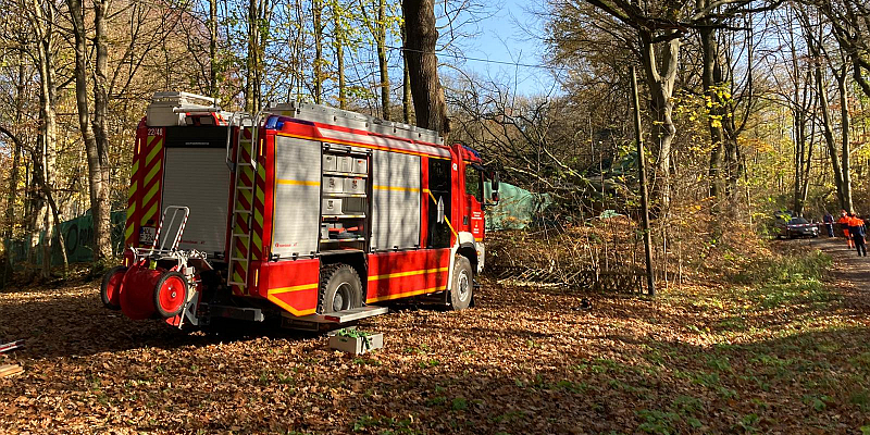 Stadtoldendorf: Teilweise umgestürzter Baum führt zu Feuerwehreinsatz