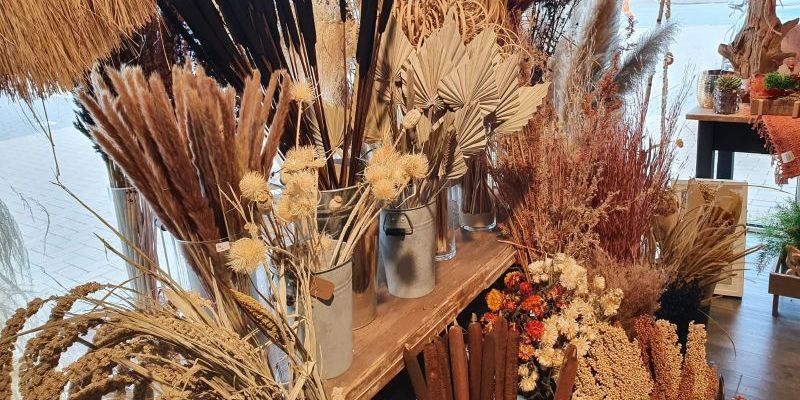 Trockenblumen sind der neueste Trend im Bereich Floristik und Deko