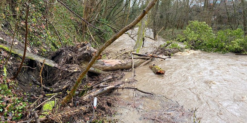 Ufer treten über, Bäume knicken um: Zahlreiche Feuerwehreinsätze in der Samtgemeinde
