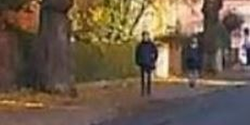 Hameln: Trotz Gegenverkehr überholt und auf Gehweg ausgewichen - Polizei sucht gefährdete Fußgänger