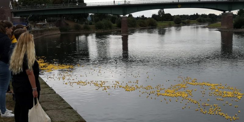 Spaß haben - Gutes tun - Preise gewinnen: Entenrennen wieder ein Publikumsmagnet