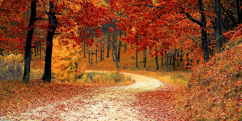 Herbstwanderung des TSV Lenne