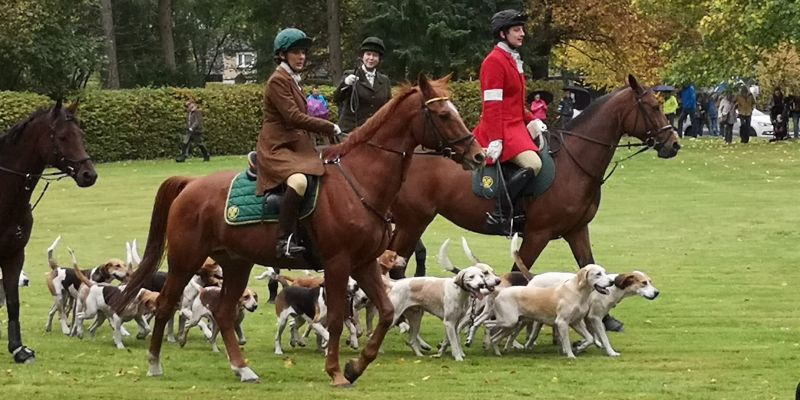 Neuhaus im Hochsolling: 54. Hubertusreitjagd begeisterte - Großes Fest