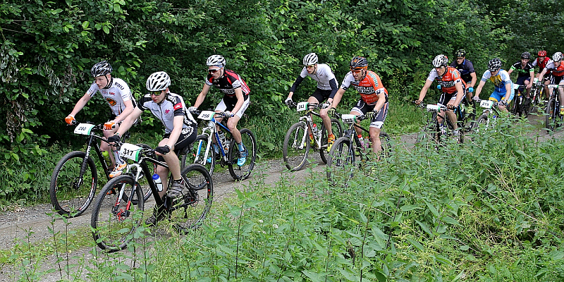 Mit dem Mountainbike die Wilde Heimat erleben - Geführte Mountainbike Touren in der Solling-Vogler-Region im Weserbergland