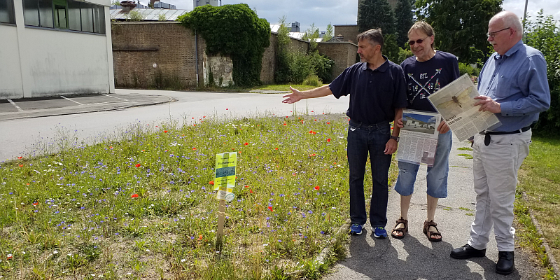 Ratsherren fordern mehr biologische Vielfalt in der Gemeinde: Gerd Henke (Grüne) und Erich Gauding stellen Antrag im Lauenförder Gemeinderat – Fürstenberger Lothar Gasch schließt sich an