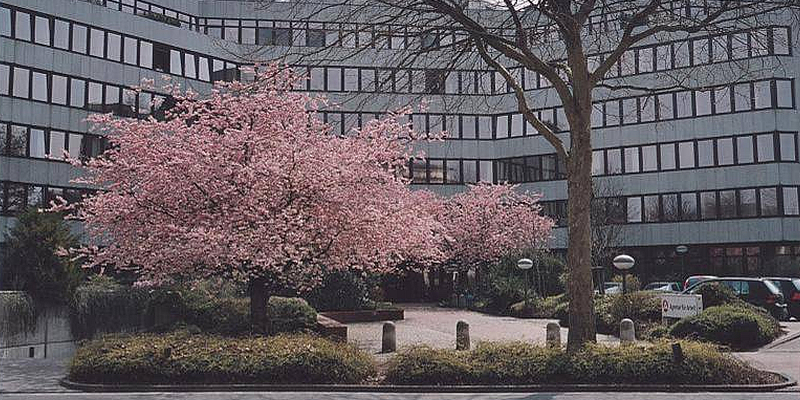 Sanierung des Gebäudes der Agentur für Arbeit in Hameln startet im ersten Halbjahr 2020