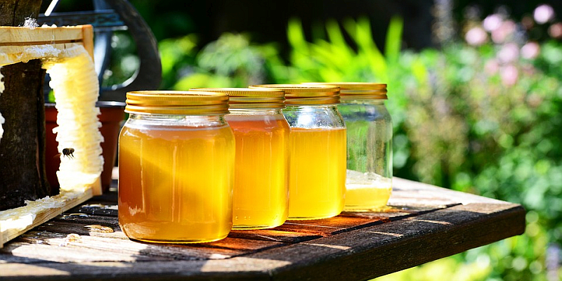 Niedersächsische Ministerium für Ernährung, Landwirtschaft und Verbraucherschutz mahnt: Bienen nicht mit Honig füttern!