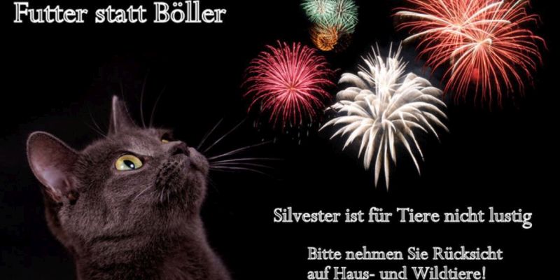 „Futter statt Böller“: Spenden werden im Tierheim Holzminden angenommen