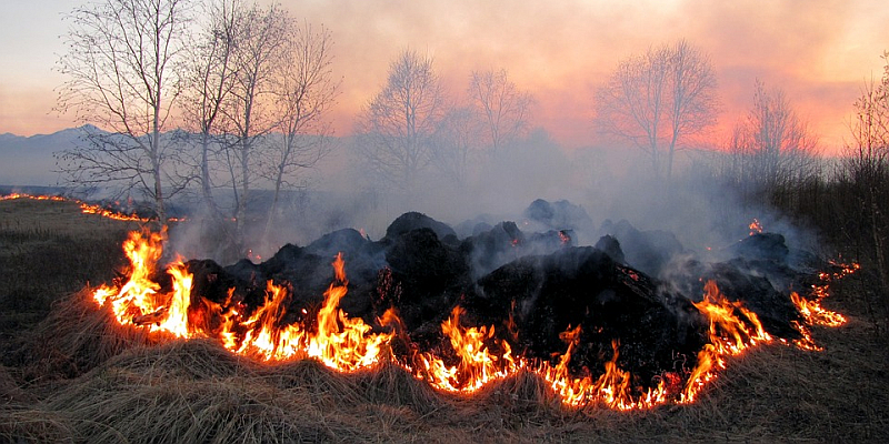 Kreisfeuerwehr Holzminden warnt Bürgerinnen und Bürger: Flächenbrandgefahr auf hohem Niveau - 