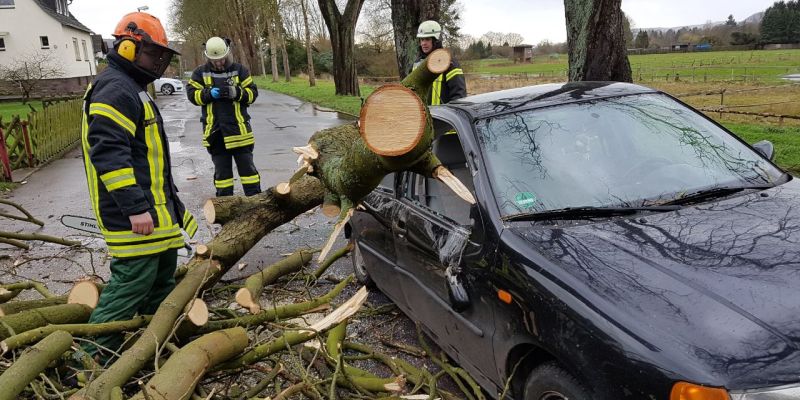 Sturmtief ,,Friederike