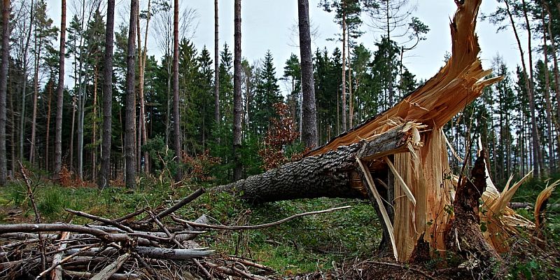 Nach Sturm 