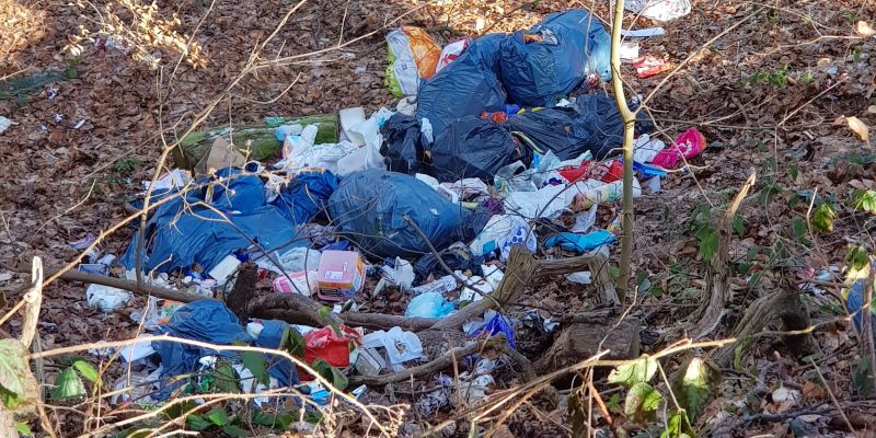 Mehrere Säcke Müll in einem Waldstück in Stadtoldendorf entsorgt