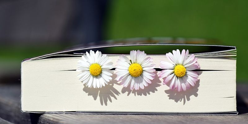 Büchervorstellung in Stadtoldendorf