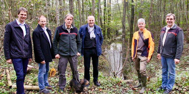 Fließgewässerentwicklungsprojekt Saale - Verbesserung der ökologischen Durchgängigkeit der Saale oberhalb Wallensen