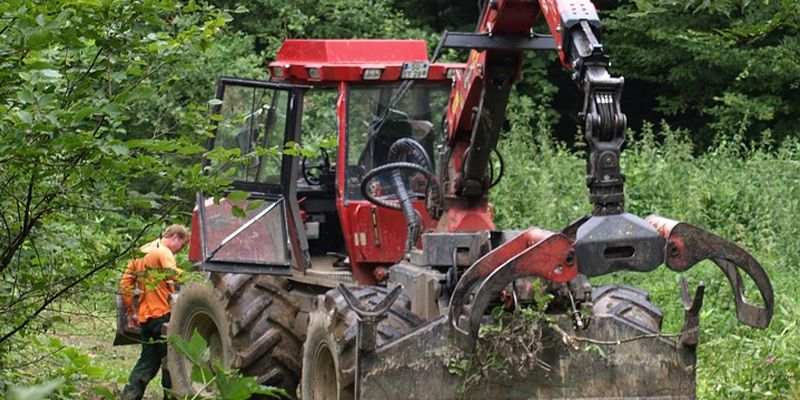 Eschentriebsterben und seine Folgen auch im Landkreis Holzminden