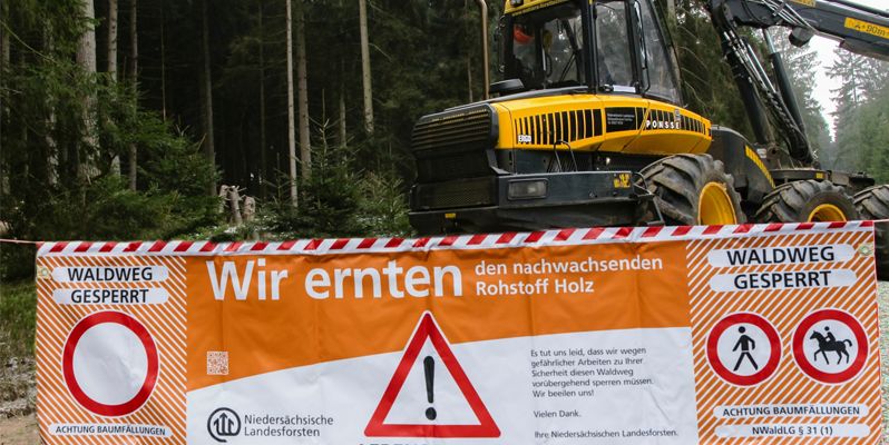 Forstamt Neuhaus erntet Holz mit Harvester - Wegen Forstarbeiten wird die Brüggefelder Straße gesperrt