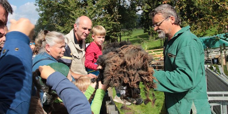 Ein Fest mit Tradition – Schäfer und Hutefest