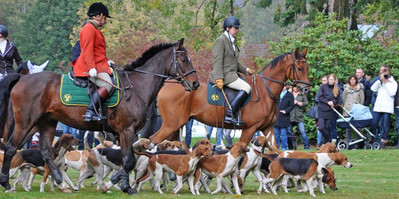 Rote Röcke auf der Jagd