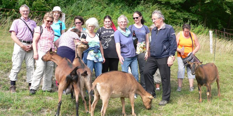 Kräuterwanderung mit Ziegen und Schafen bei Kaierde