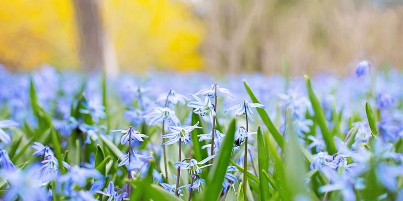 Großes Sommerfest für alle Naturinteressierten