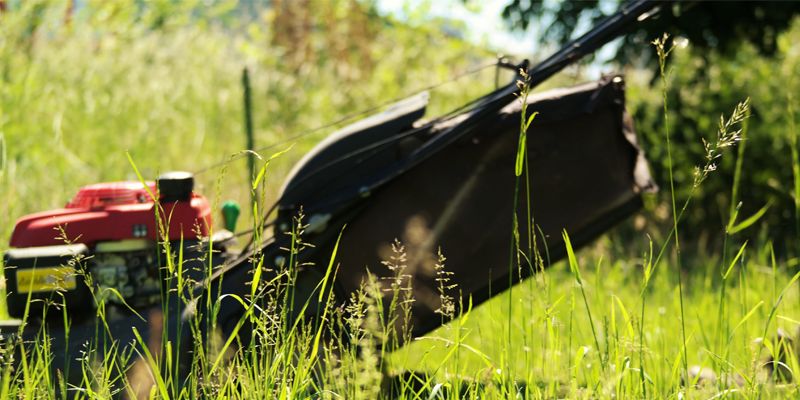 Dienstleister rund um die Immobilie