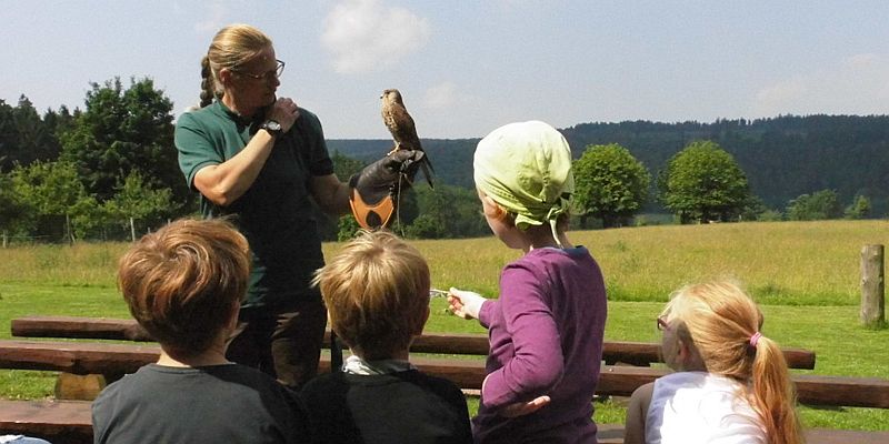 Aktion „Wilde Jäger“ lädt Kinder zum kostenlosen Besuch im Wildpark Neuhaus ein