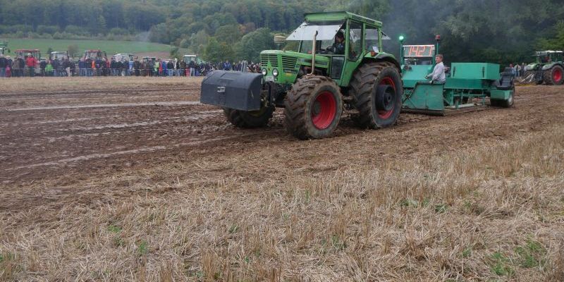 28. Erntefest: Landjugend Hils freut sich über zahlreiche Besucher