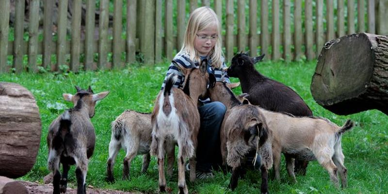 Osterrallye im Wildpark Neuhaus der Niedersächsischen Landesforsten - Spaß für die ganze Familie am heutigen Ostermontag