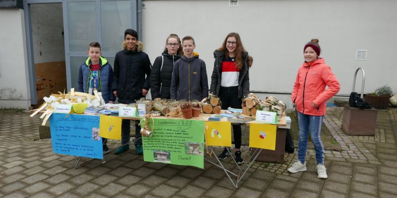 Schule mal anders - Projektwoche an der HRS Eschershausen