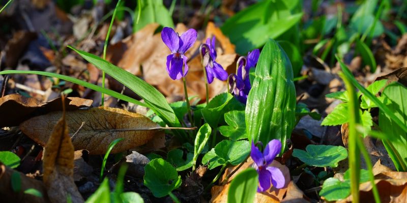 Naturkundliche Exkursion der KVHS im Selter