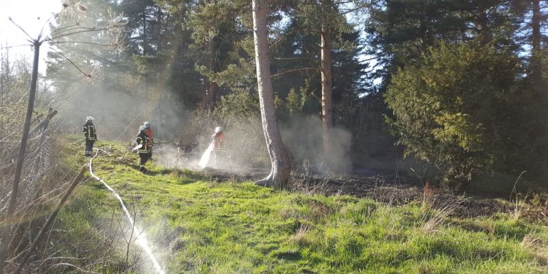 Waldbrand in Grünenplan - Ermittlungen wurden aufgenommen