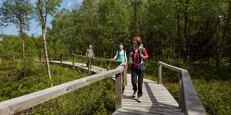 Natur und Kultur auf dem Weserbergland-Weg erleben - Solling-Vogler-Region im Weserbergland ermöglicht ausgezeichneten Wanderspaß