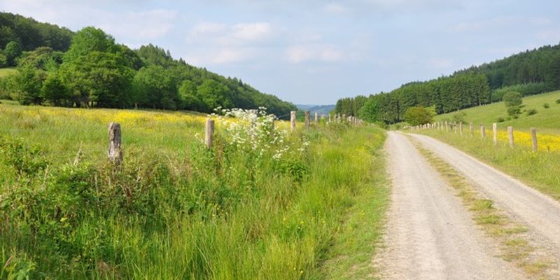Wilde Fotos gesucht! Solling-Vogler-Region im Weserbergland plant Bildband