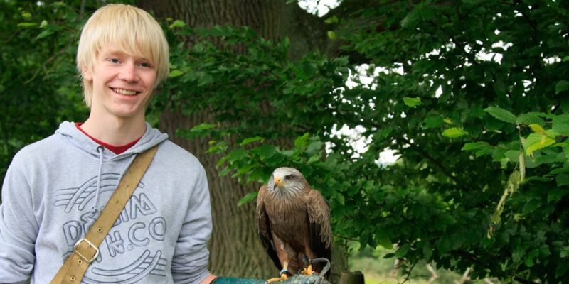 Das besondere Weihnachtsgeschenk aus dem Tierpark Sababurg