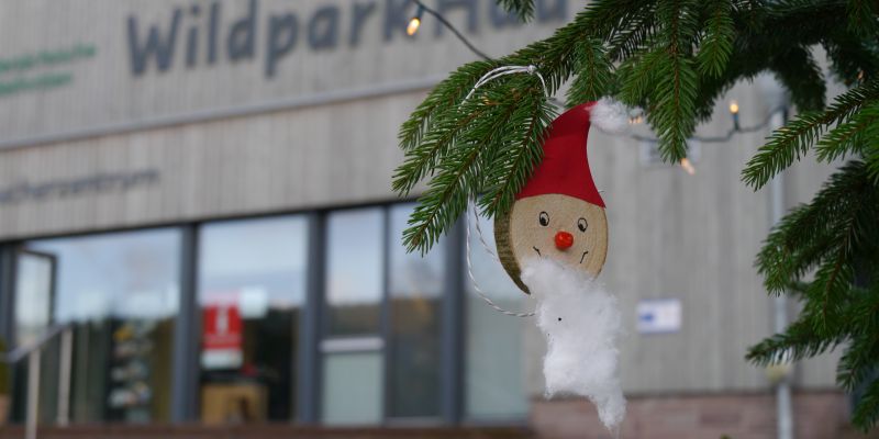 Nikolaus besucht das WildparkHaus an seinem fünften Geburtstag