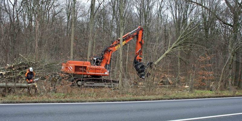 L 549 zwischen Boffzen und Neuhaus vom 10. bis 18. Dezember voll gesperrt - Verkehrssicherungsarbeiten auch an der L 550 im Bereich Steinkrug