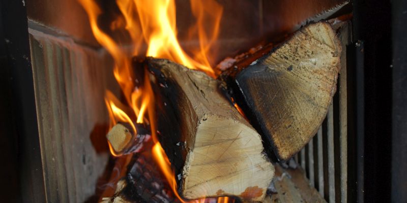 Forstamt Grünenplan verkauft Brennholz - Fichtenholz als gute Alternative
