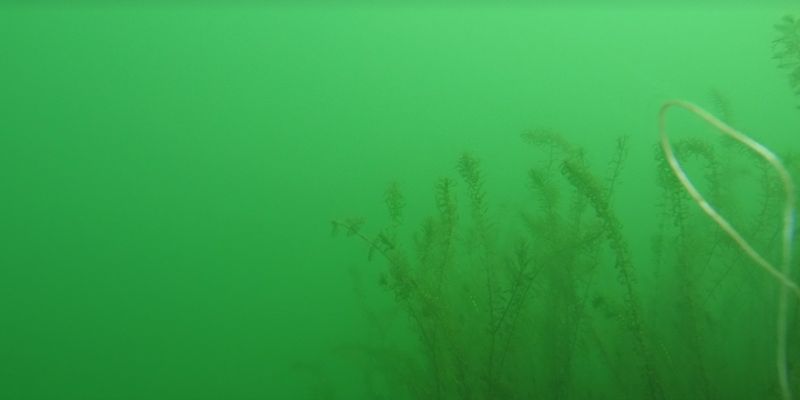 Unterwasserdrohnen, die neuen Helfer – Frank Potthast berichtet über den Einsatz von modernen Einsatzhelfern