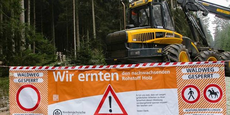  Verkehrsbeeinträchtigungen auf der B 64 wegen Baumfällarbeiten zwischen Lobach und Negenborn